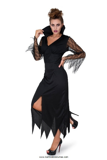 Wicked Sorceress Costume